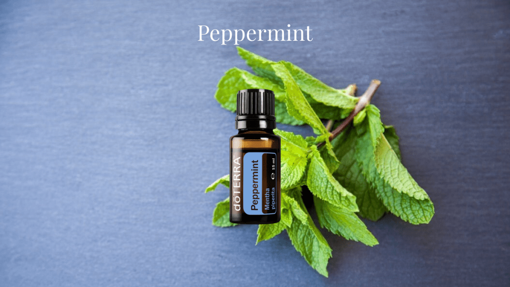 Miért Használj Borsmenta&nbsp;Olajat?