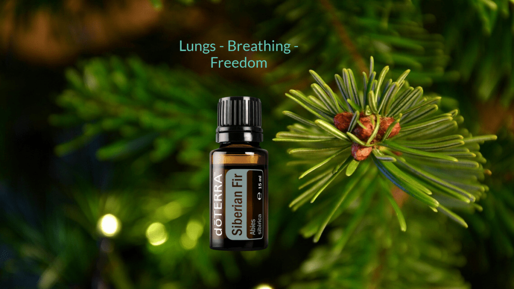 🌬️Tüdő, Légzés, Szabadság – Amikor a levegő az életünk tükrévé&nbsp;válik