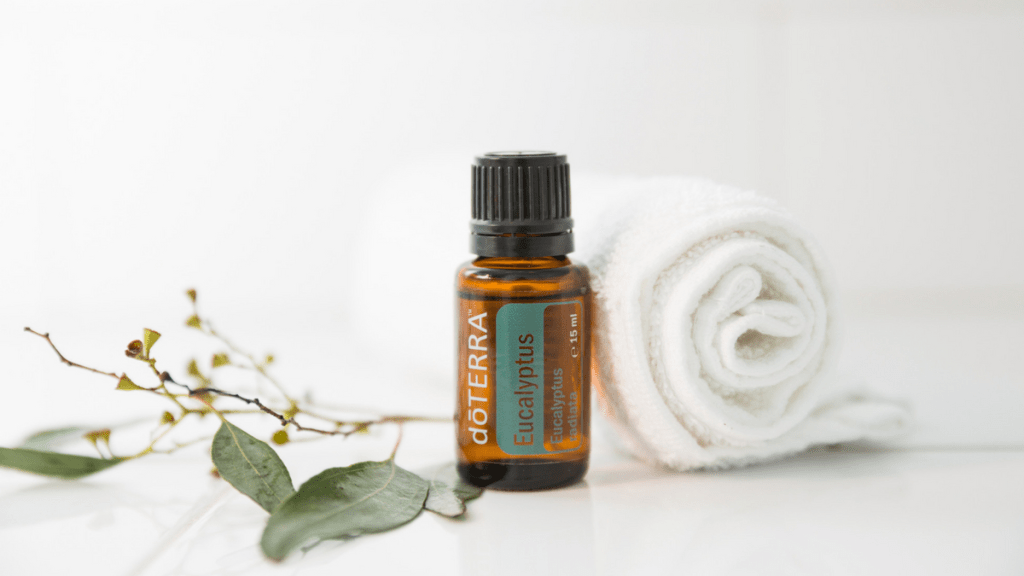 Az ősz elengedhetetlen segítője: az eukaliptusz&nbsp;illóolaj