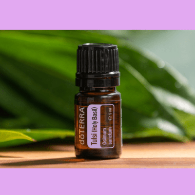 🌿 Tulsi – A „páratlan” Szent Bazsalikom&nbsp;varázsa