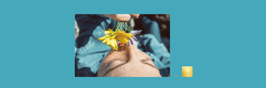 Fedezd fel újra az illatok világát&nbsp;🌿