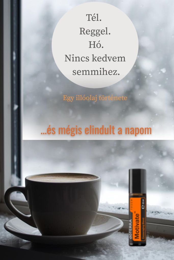 Tél, reggel, hó. Nincs kedvem semmihez.