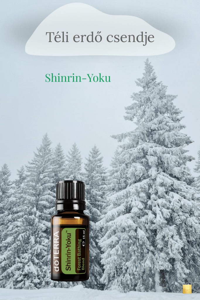 Téli erdő csendje - Shinrin-Yoku